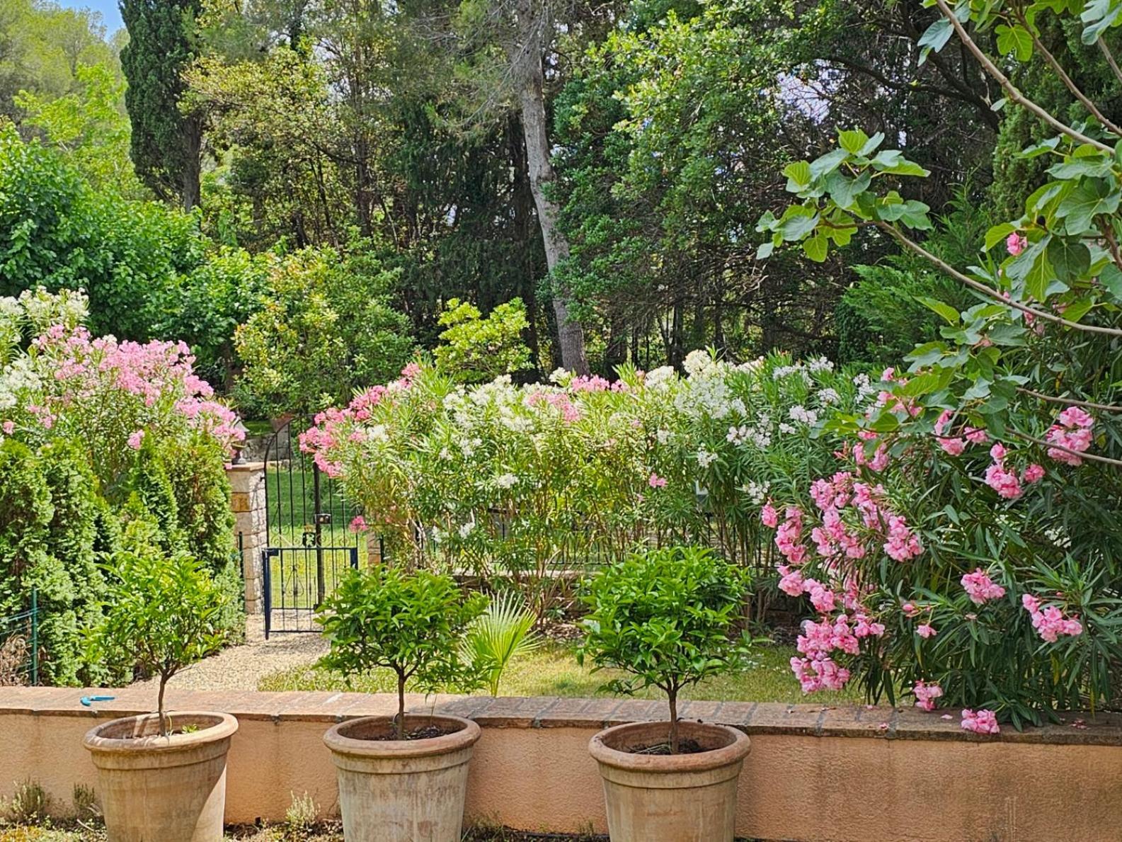 Appartamento Manoir De Duke - Piscine, Parc Arbore, Clim, Parking Gratuit
